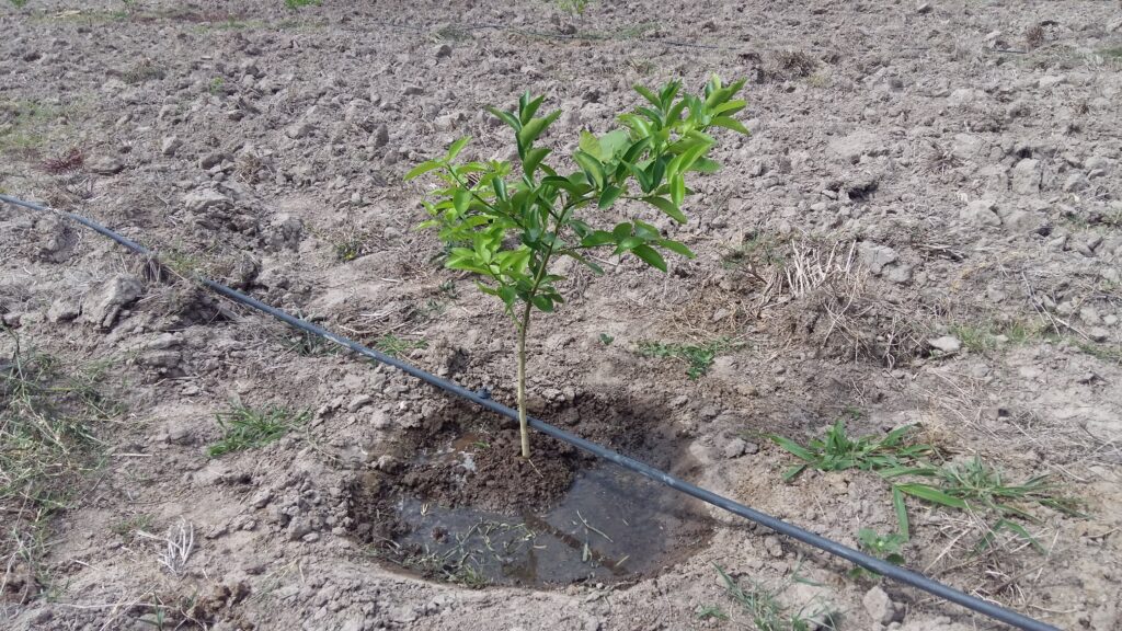 Soluciones Integrales Agrícolas de Honduras 20180504 092141