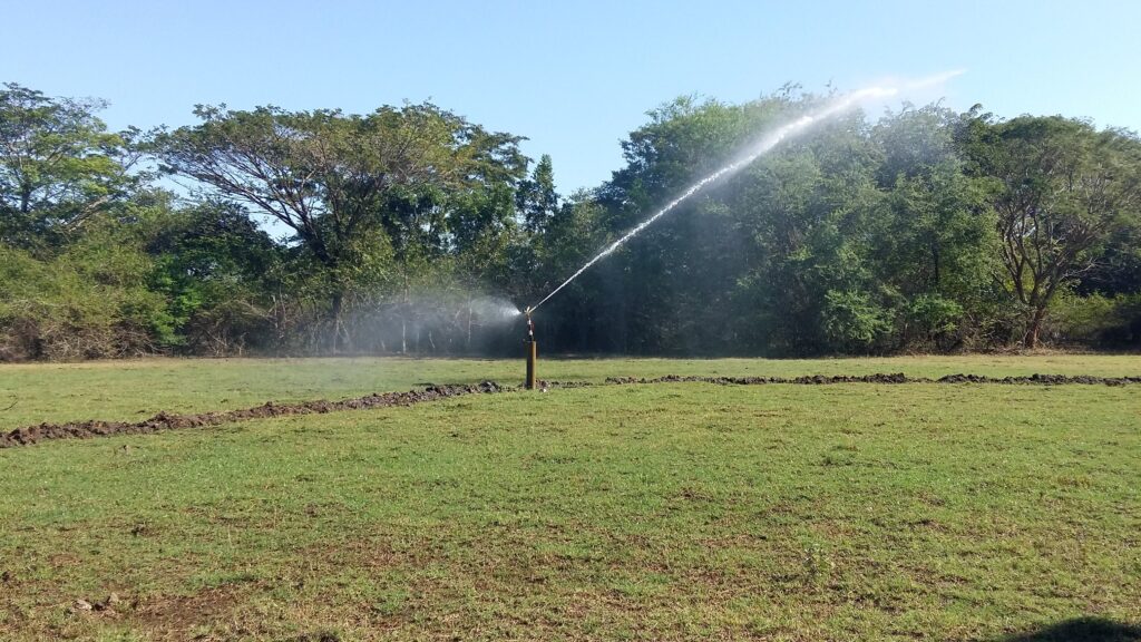 Inicio 20190108 142921