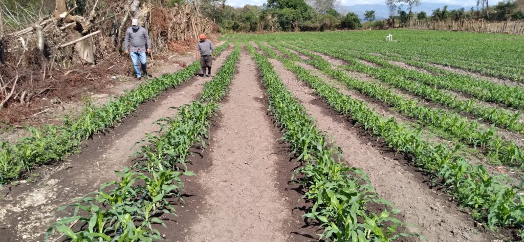 Inicio 20210222 093512