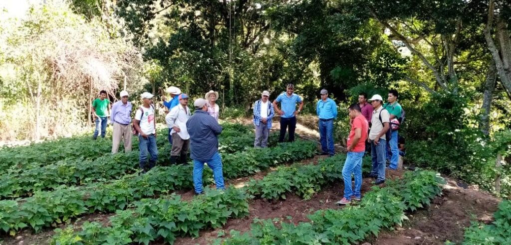 img 20191220 wa0015 img 20191220 wa0015