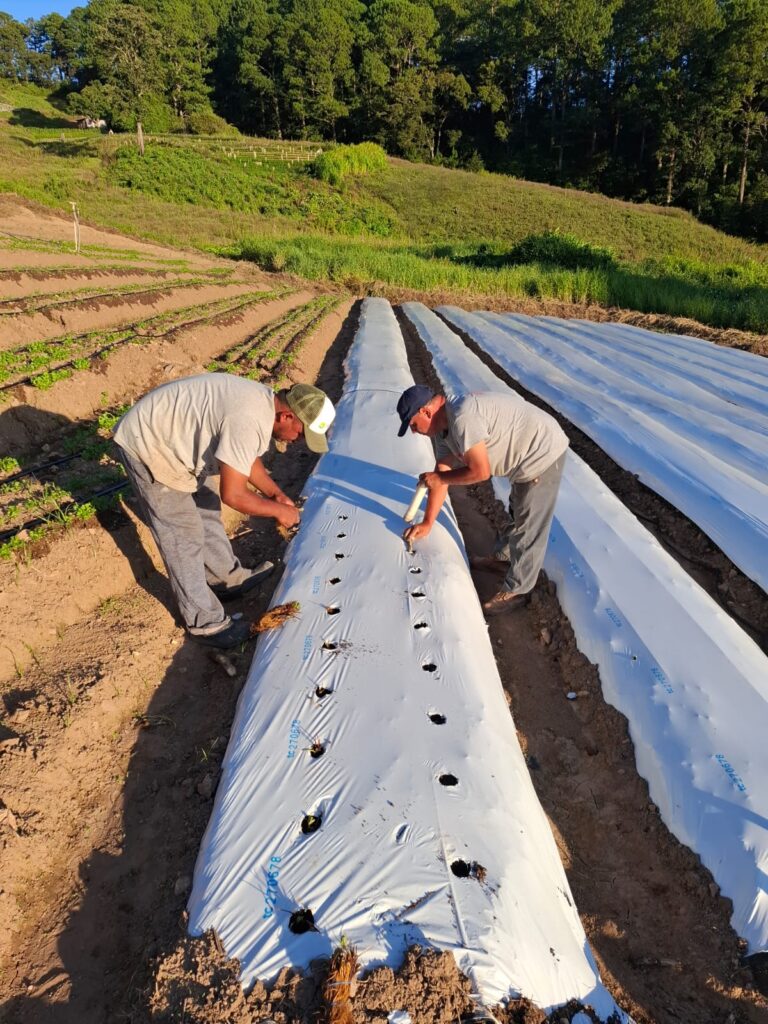 img 20250926 wa0000 img 20250926 wa0000