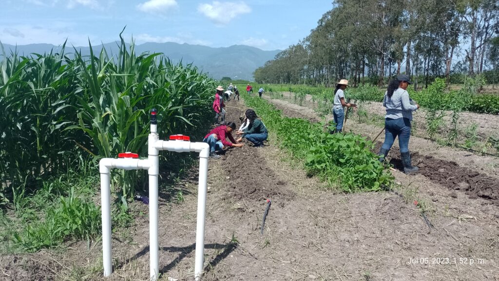 Inicio img 20230705 135239 093